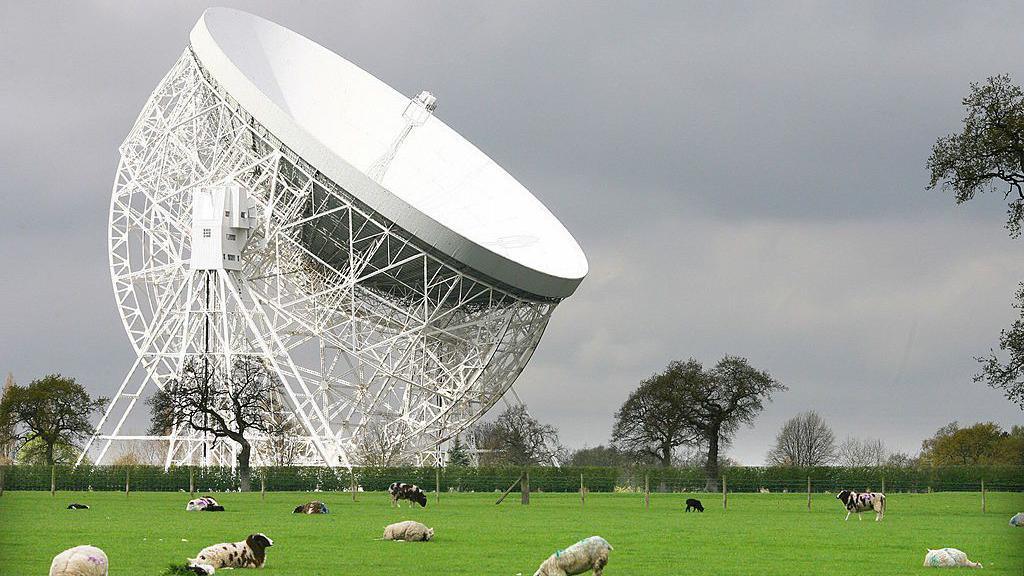 The Lovell Telescope at Jodrell Bank, with sheep grazing in the field in front